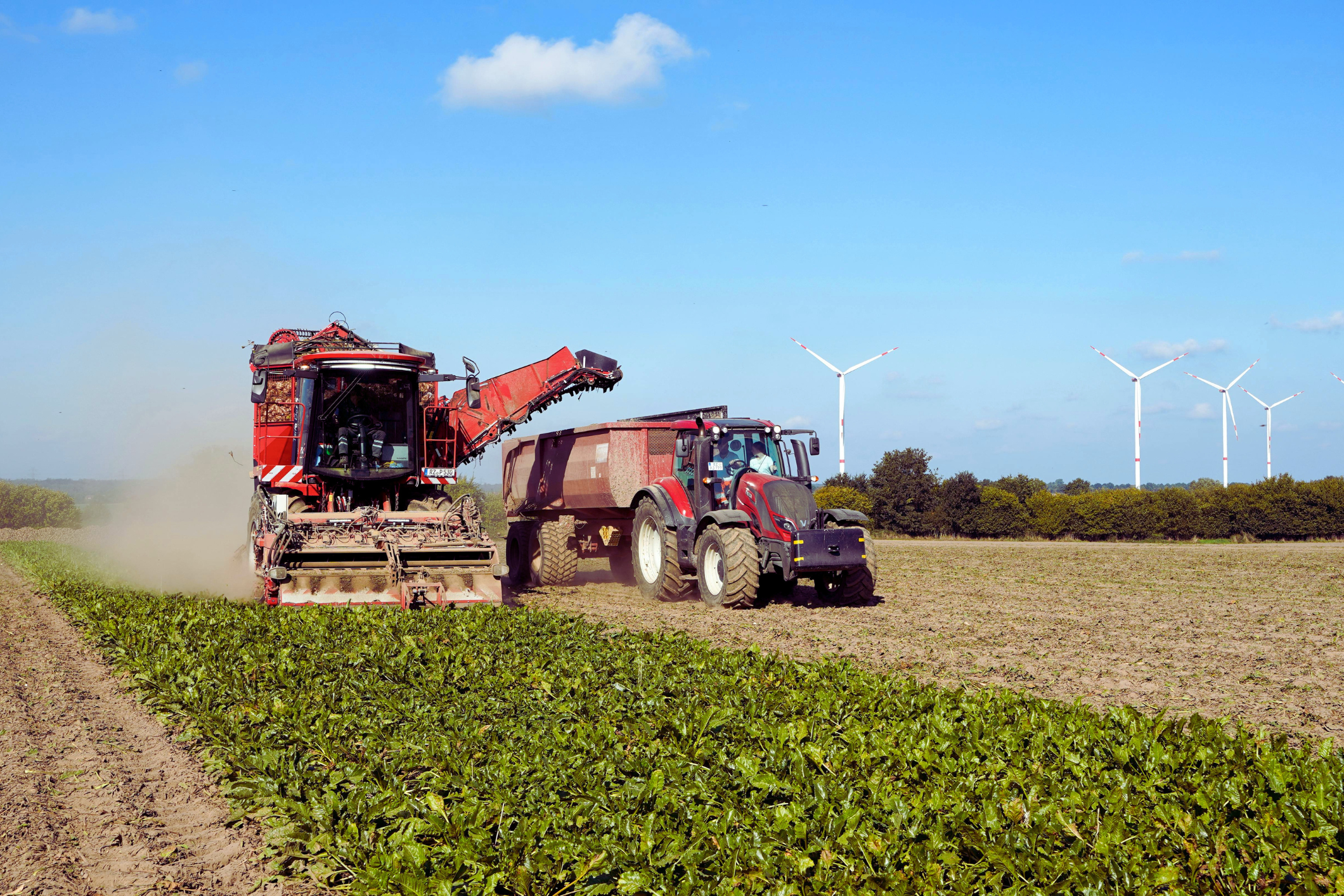 Delivery Farm