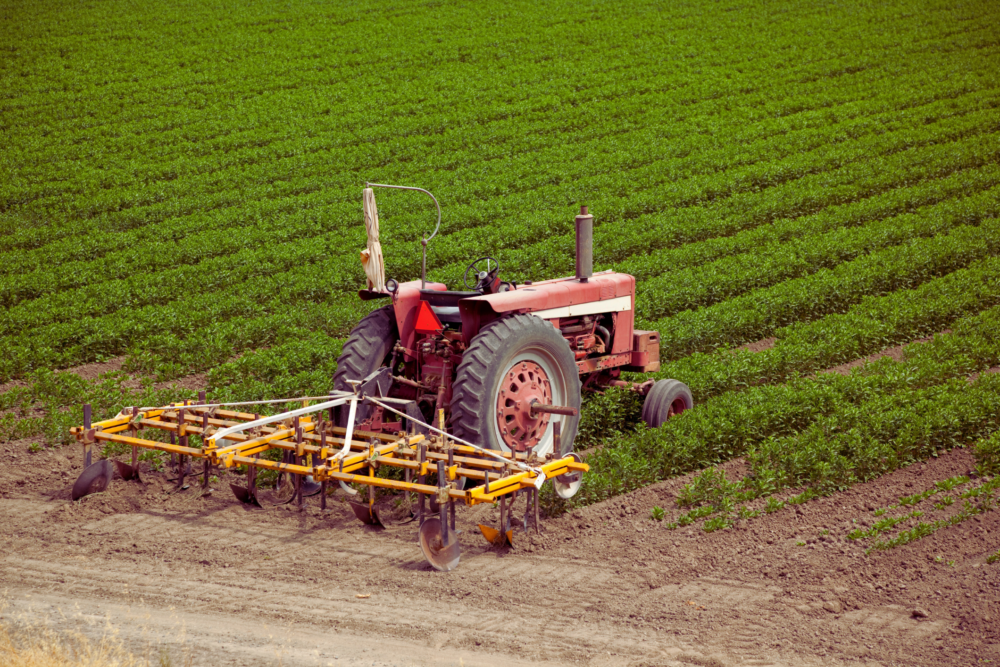 Farmland